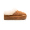Arstore - UGG Tazzlita Pantofola Scamosciata Castagna Unisex - Chestnut